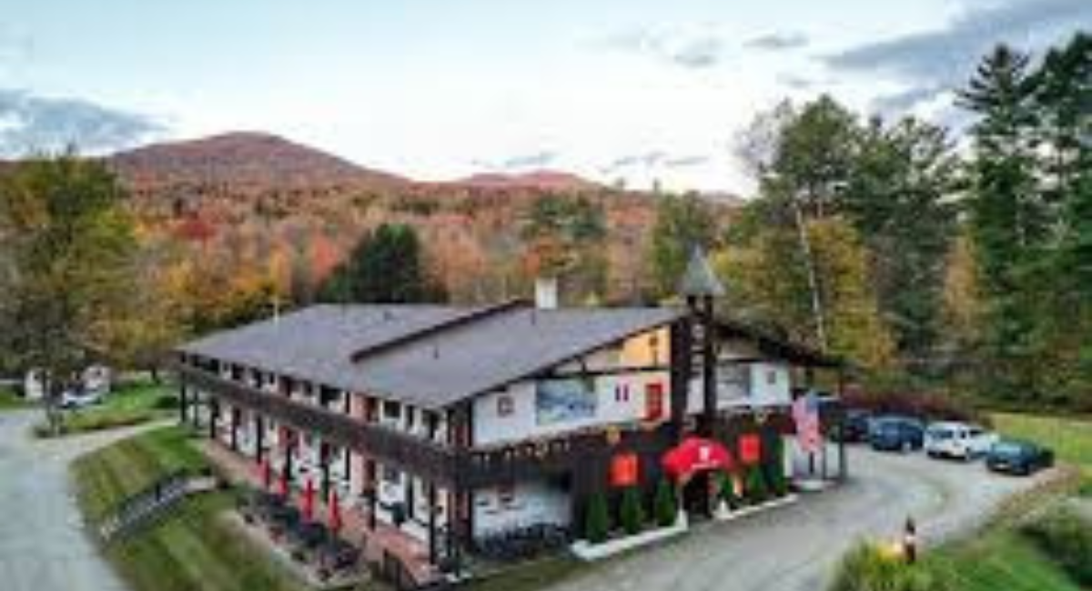 why stowe vermont is the ultimate dog friendly destination