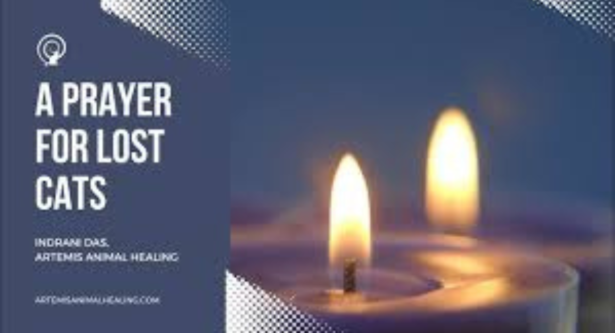 Prayer for a Lost Cat