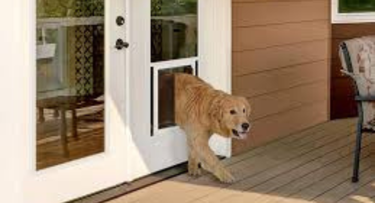 The Best Dog Doors for French Doors