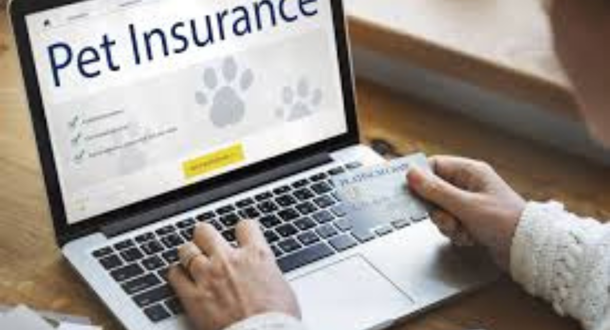 Pet Insurance Cost