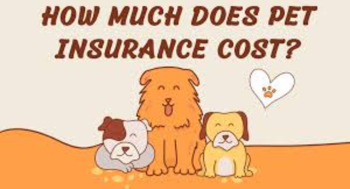 Pet Insurance Cost