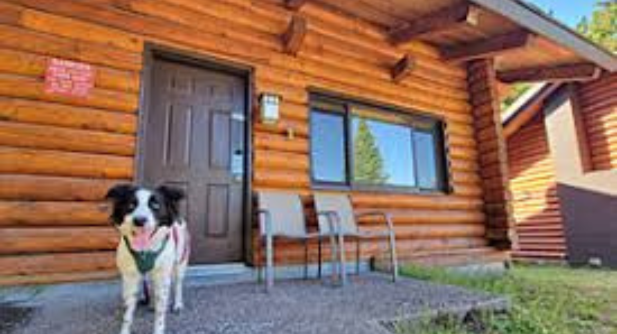 Mt Hood Hotels Pet-Friendly