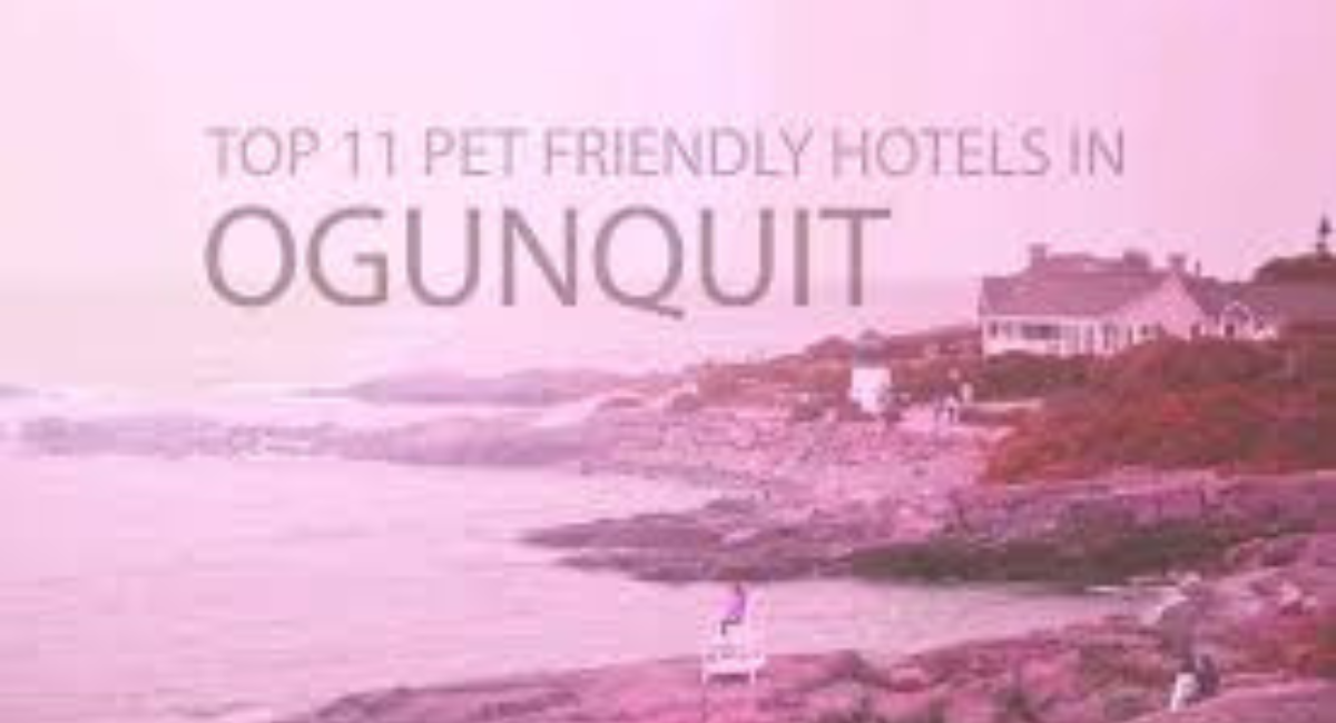 Ogunquit Maine Hotels Pets Allowed