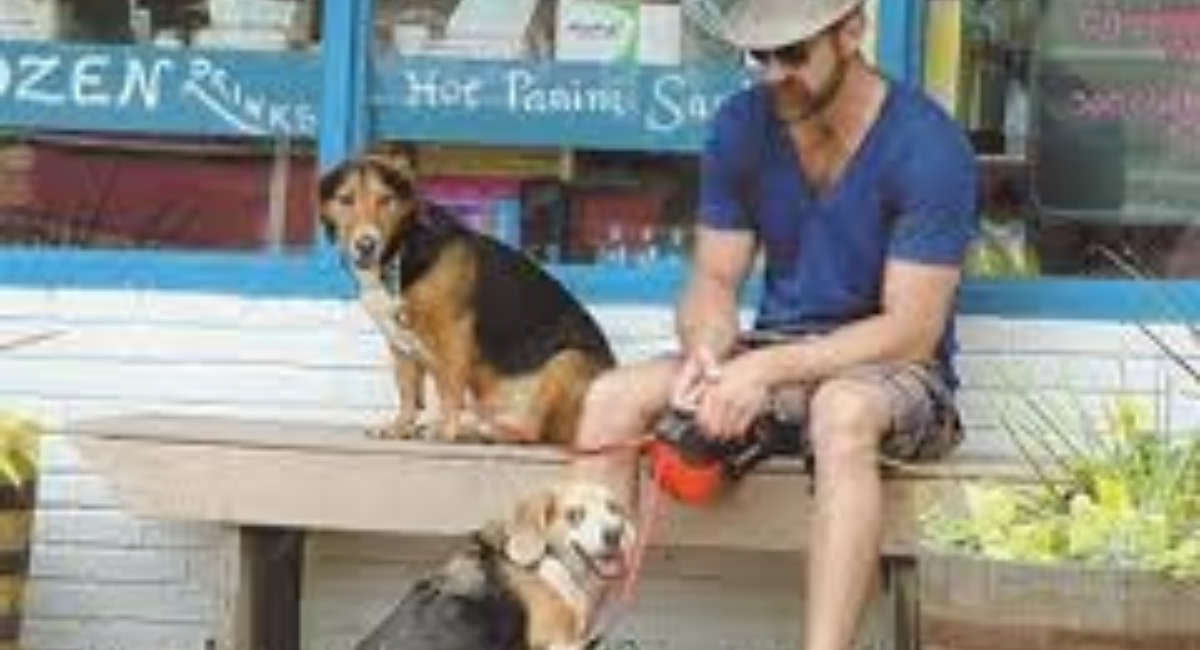 Dog Friendly Provincetown