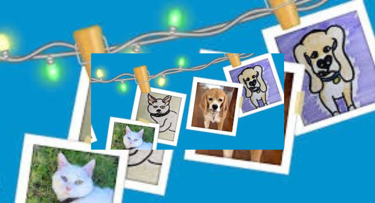 Poorly Drawn Pets Fundraiser