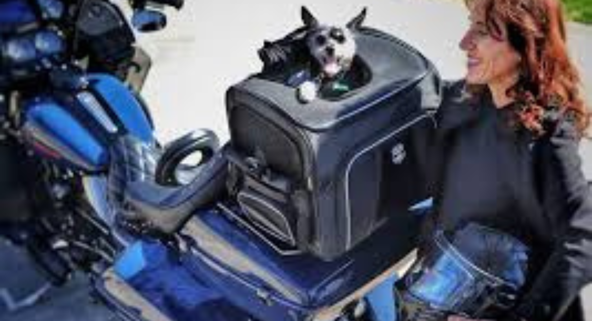 Motorcycle Pet Carrier