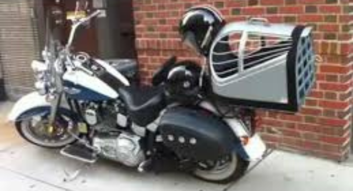 Motorcycle Pet Carrier