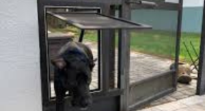 Pet Protector for Screen Door