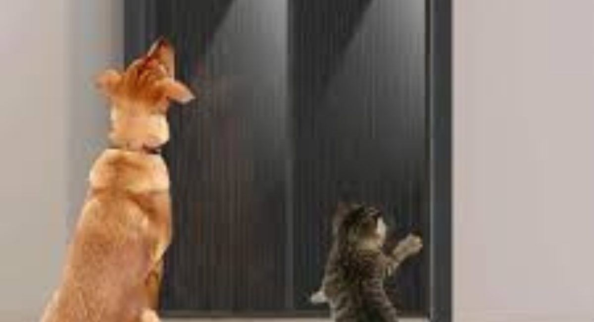 Pet Protector for Screen Door