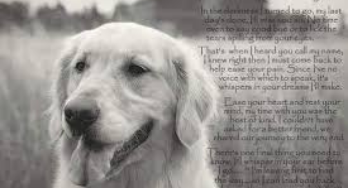 prayers memorials and bible verses for our beloved pets.