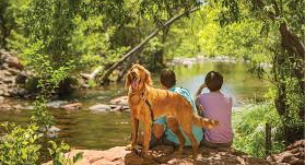Ultimate Dog-Friendly Guide to Sedona, Arizona