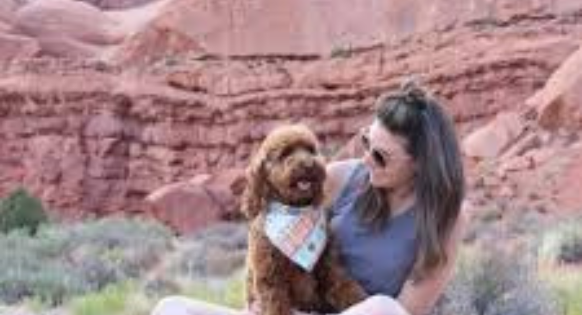 Ultimate Dog-Friendly Guide to Sedona, Arizona