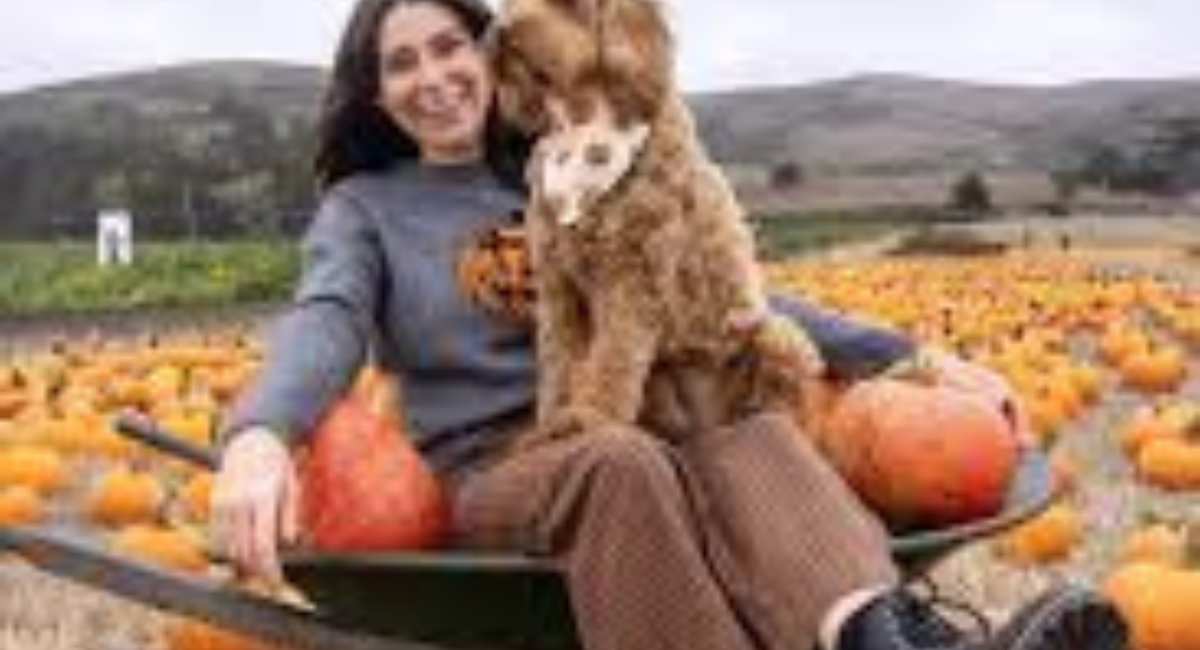 Pet Friendly Pumpkin Patch