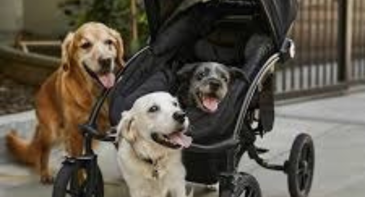 Pet Stroller for Big Dogs