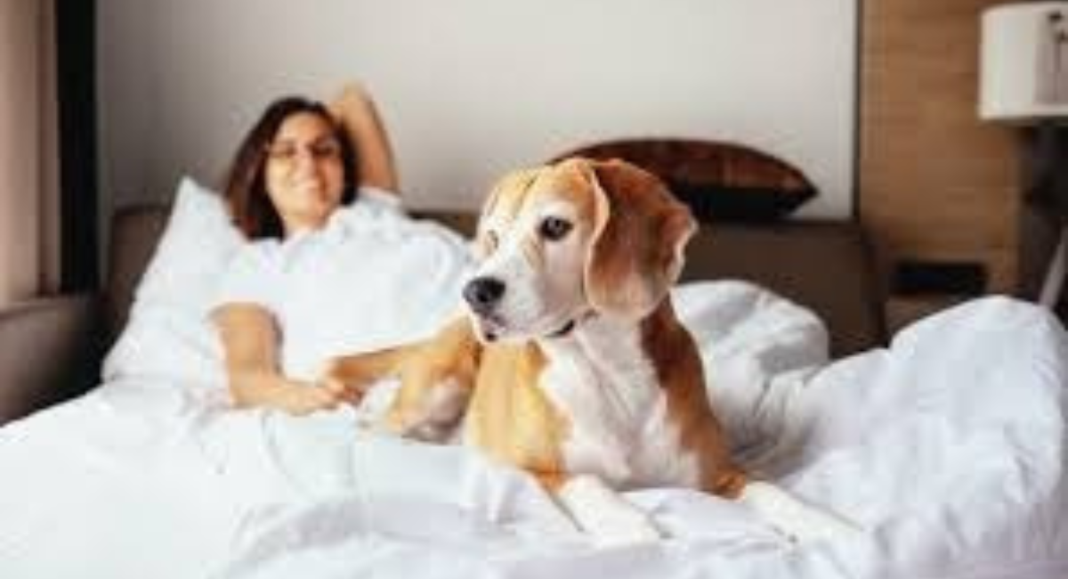 Pet Friendly Vero Beach