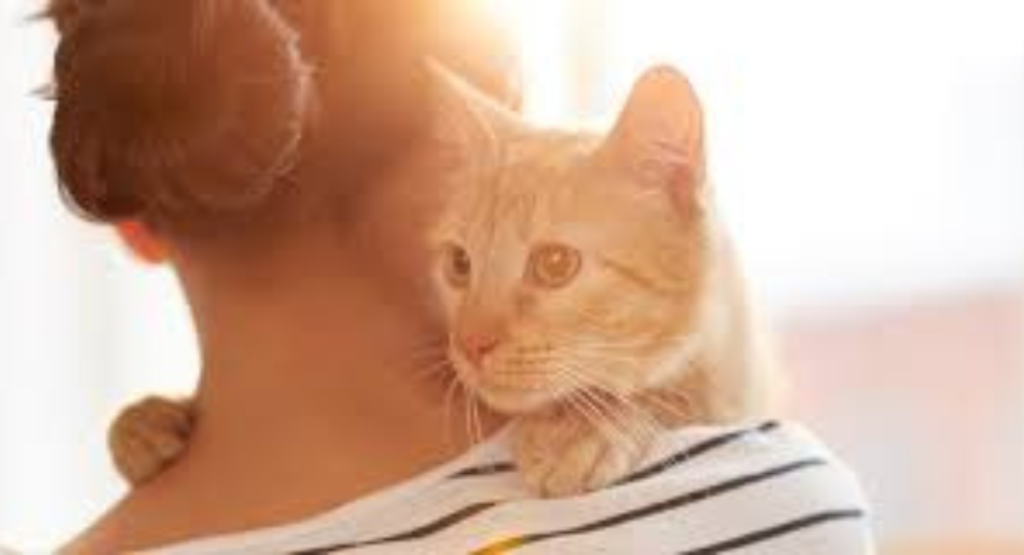 What’s Really Changing in the Pet Grooming Industry in 2026?