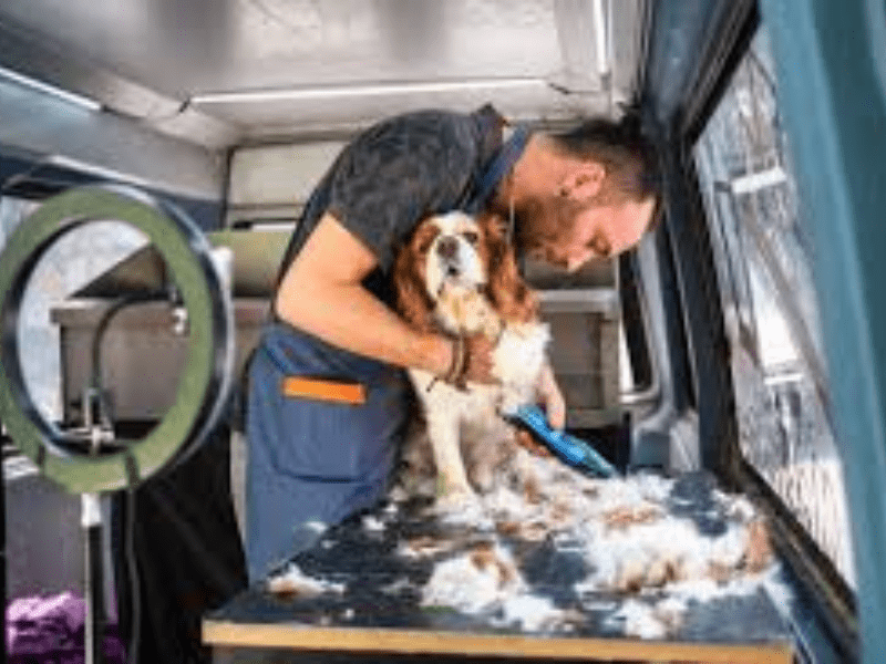 Mobile Pet Grooming: Why Pet Owners Love It in 2026
