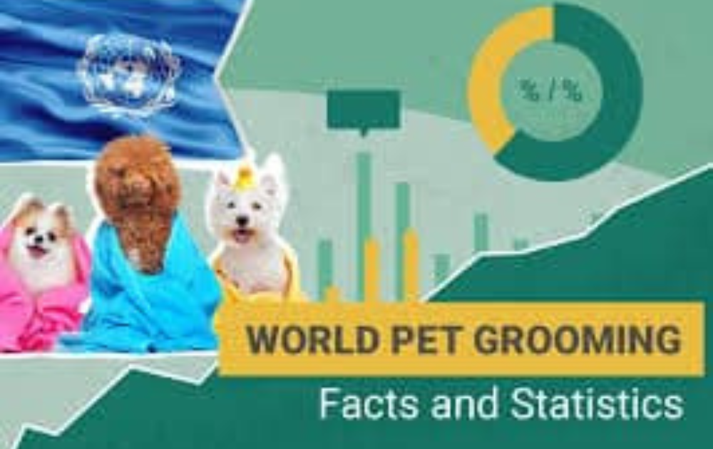 Pet Grooming Industry News