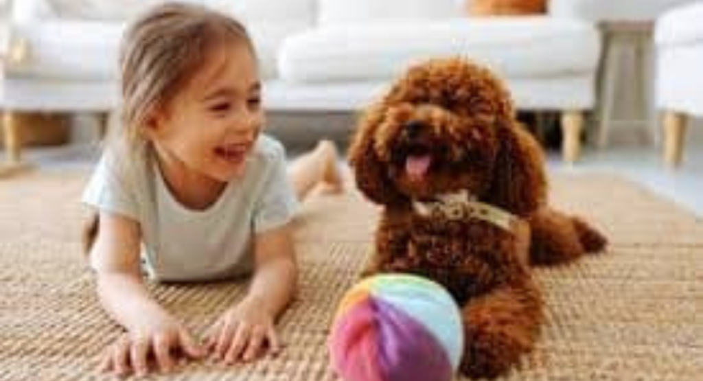 What Is Pet Play?
