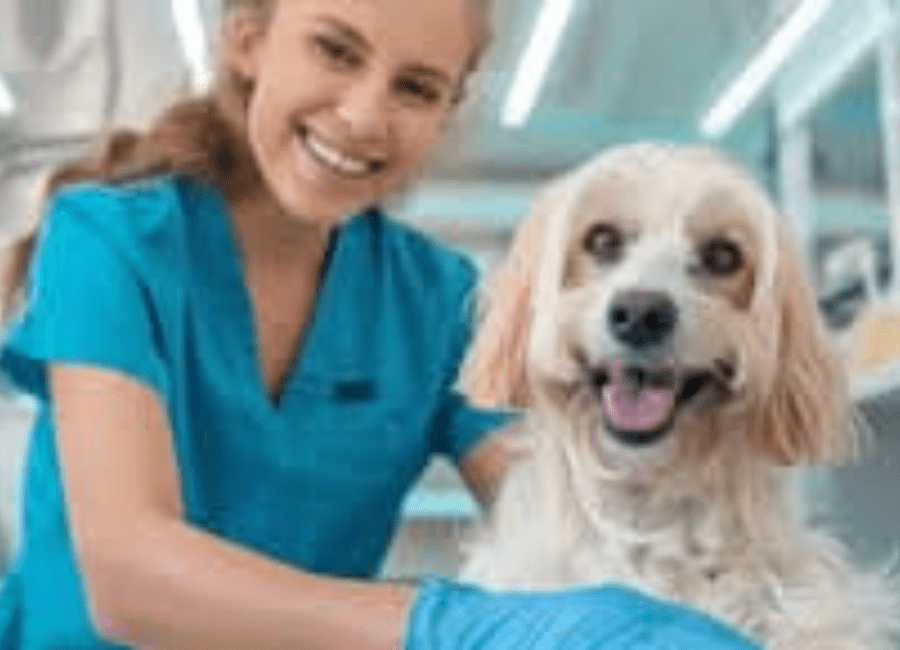 Breed-Specific Grooming