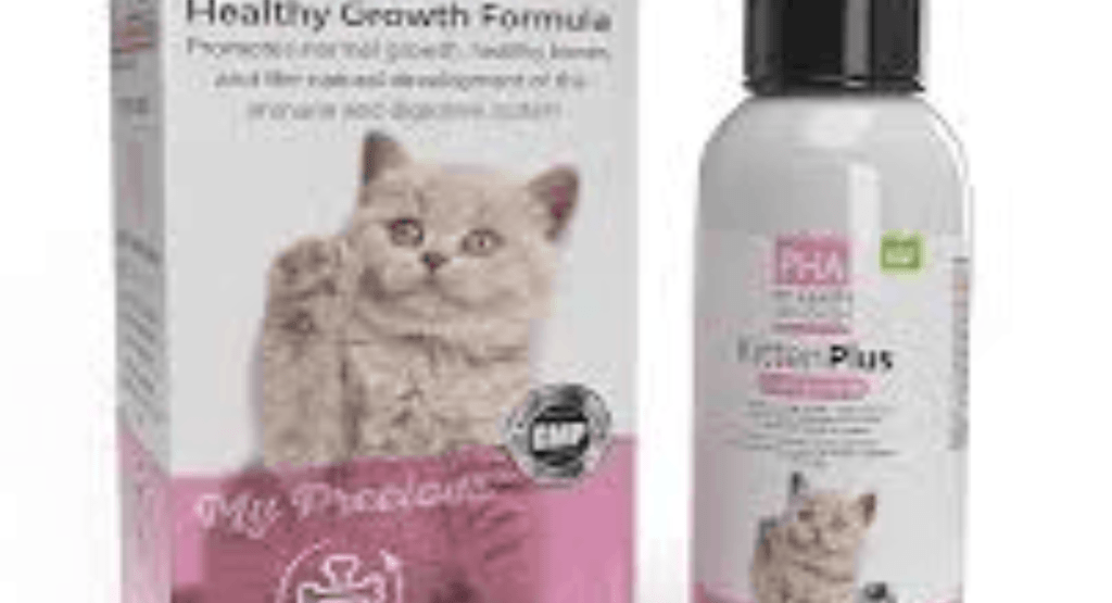 Cat Health & Development