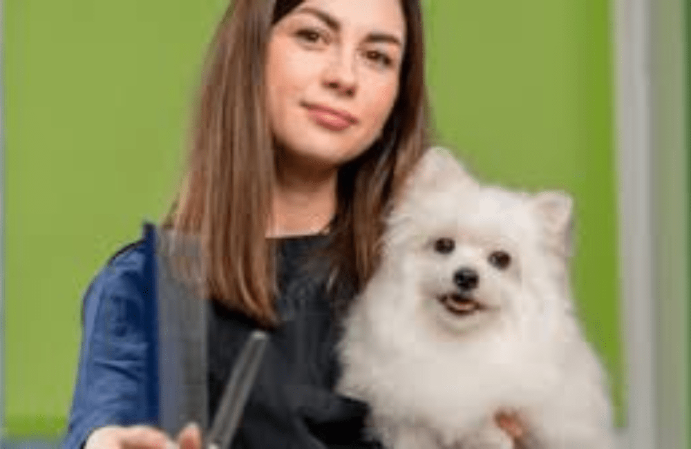 How Pet Groomers Are Going Green in 2026