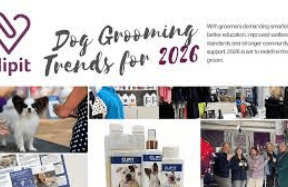 How Pet Groomers Are Going Green in 2026