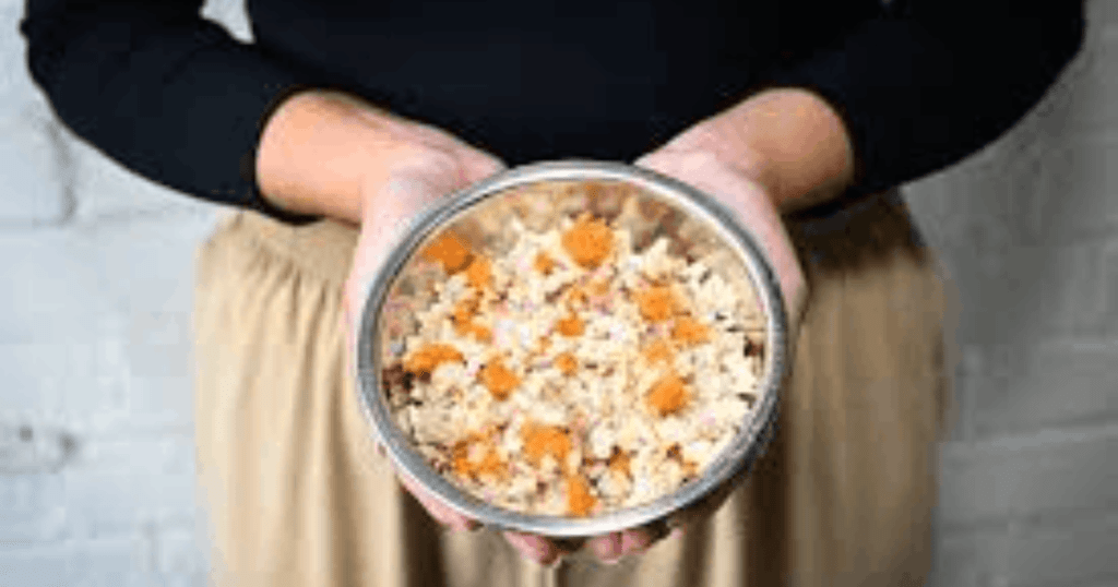 Bland diet for dogs