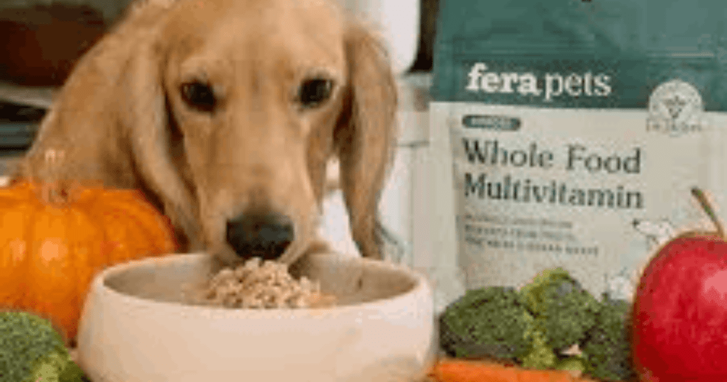 Festive pet snacks