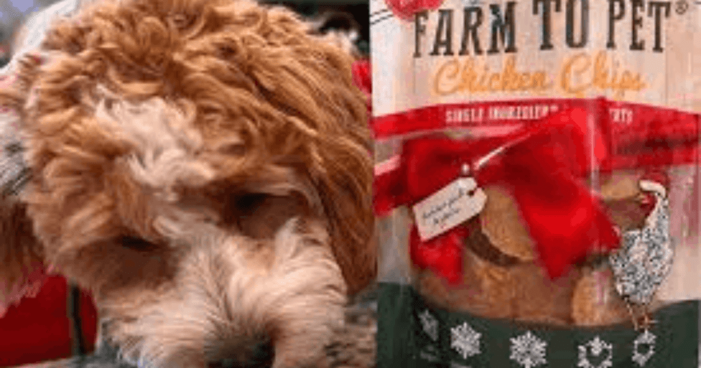 Halloween treats for dogs