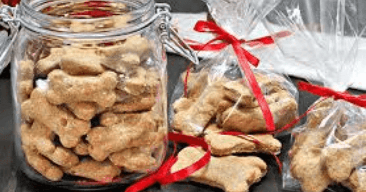 Holiday Treats for Pets