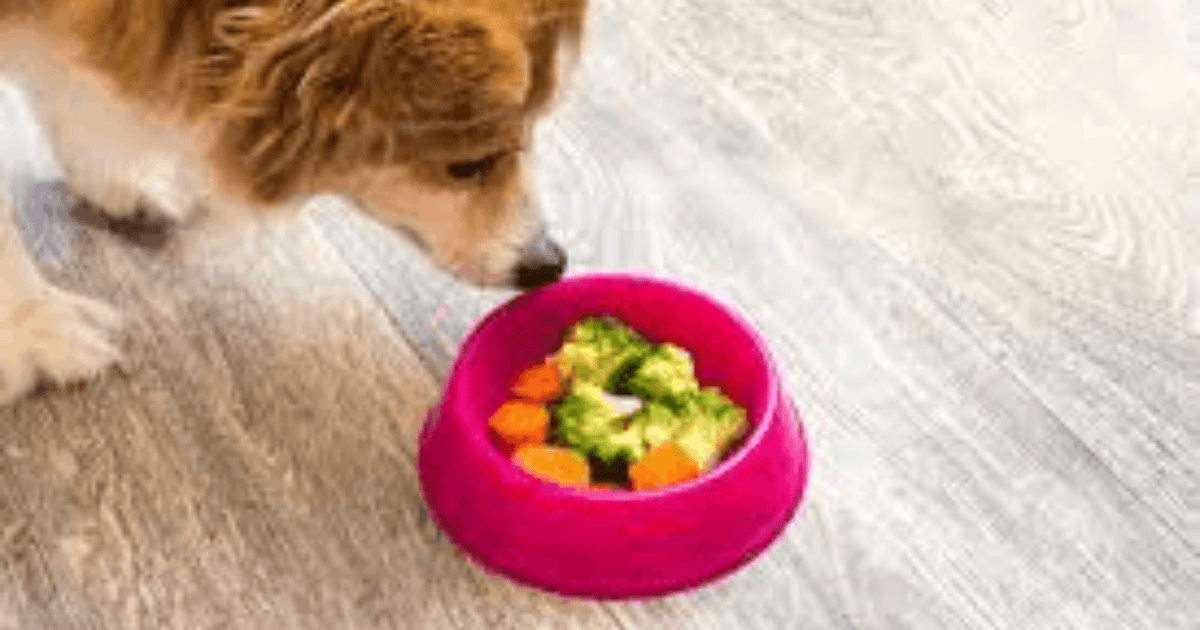 Worst Foods for Diabetic Dogs