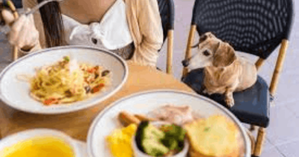 foods to avoid for diabetic dogs