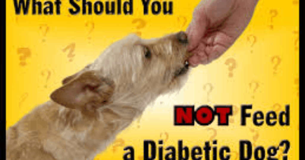 bad food for diabetic dogs