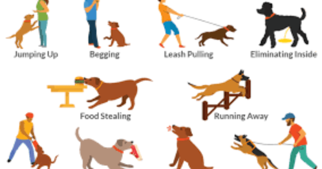 changes in dog habits