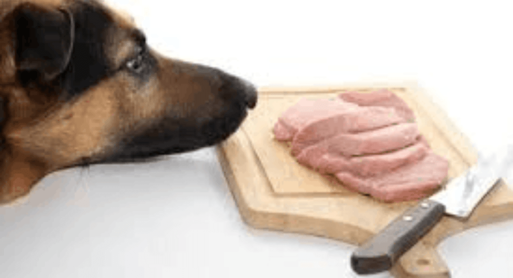 Can Dogs Eat Ham?