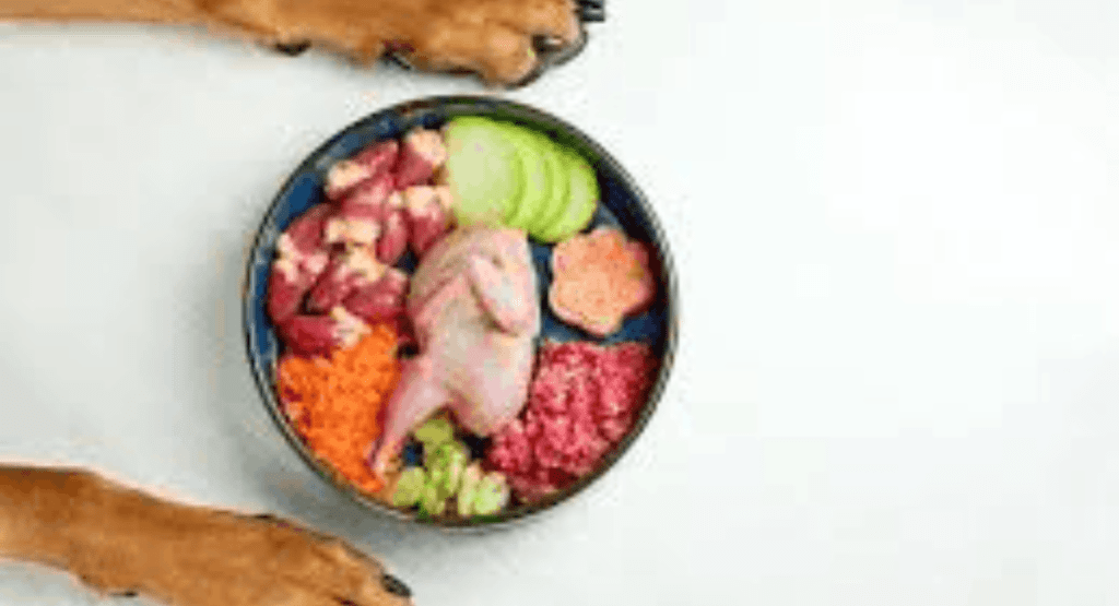 Pet Nutrition and Diet